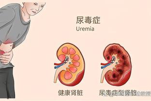 开云在线登录平台网址截图4